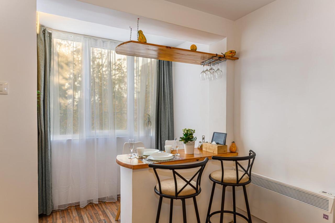 Jad - Family - Apartments & Studios Braşov Esterno foto