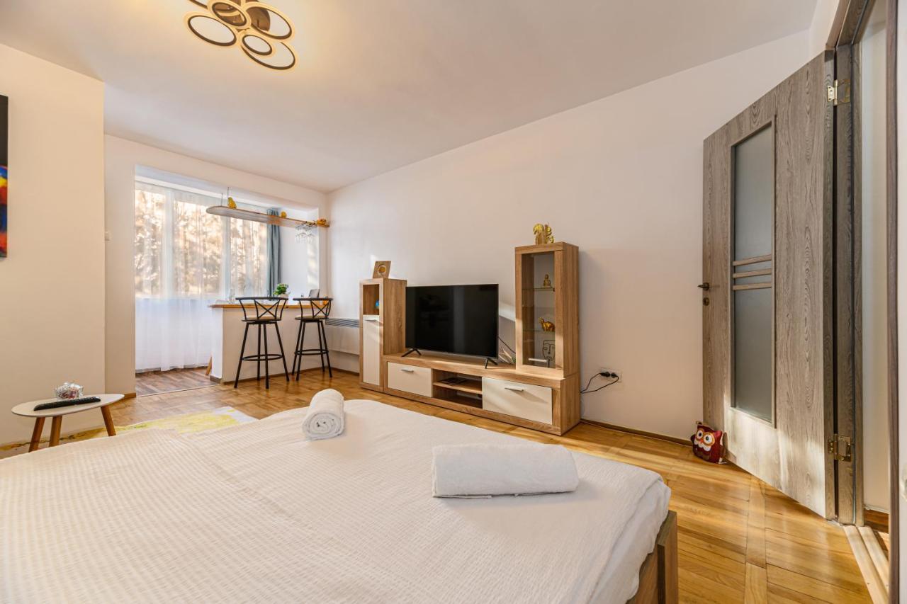 Jad - Family - Apartments & Studios Braşov Esterno foto