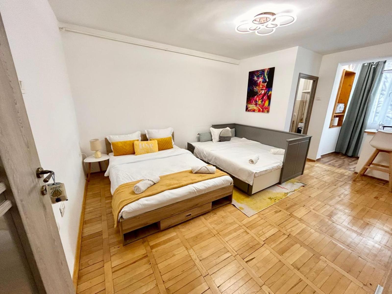 Jad - Family - Apartments & Studios Braşov Esterno foto